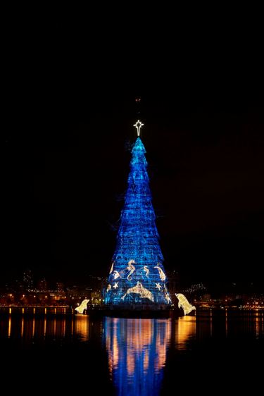 Árvore de Natal da lagoa abriu Natal dos cariocas