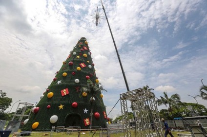 Árvore de Natal do Ibirapuera inaugura hoje