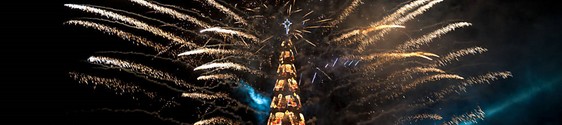 Árvore de Natal da Lagoa é iluminada no Rio