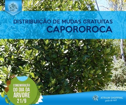 Atrium Shopping realiza ação sustentável no Dia da Árvore