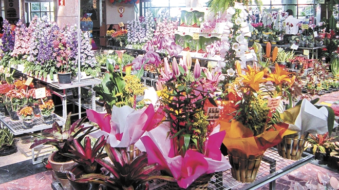 Shopping Penha recebe Feira de Flores em São Paulo