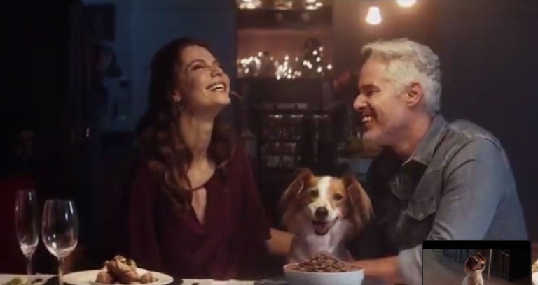 F&Q Brasil cria campanha de Natal da PremieRpet