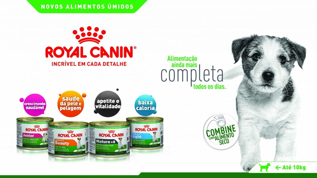 Integer\OutPromo assina estratégia de lançamento da ROYAL CANIN