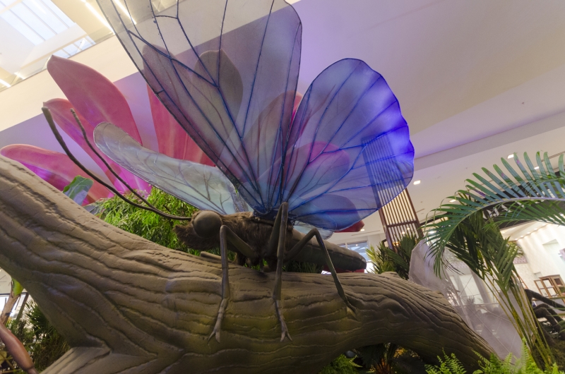 Insetos gigantes vão “pousar” no Norte Shopping