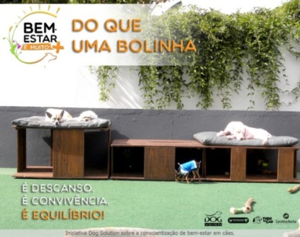 Dog Solution promove "Bem-Estar é Muito Mais"