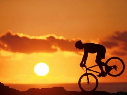 Salão Duas Rodas incentiva o uso de bicicletas