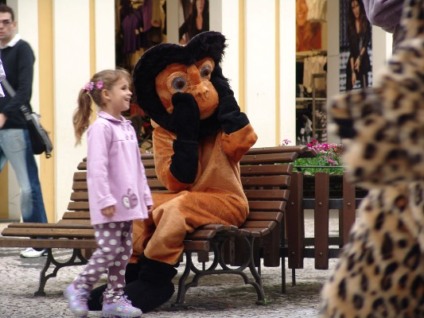 Animais em extinção invadem ruas de Curitiba