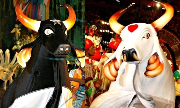 bois manaus
