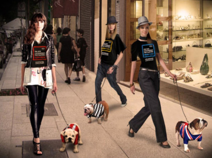 Bulldogs e modelos circulam pelo Itaim e Jardins