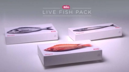 Mercado faz pegadinha com clientes usando 'peixe vivo'