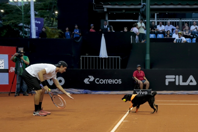 Brasil Open contará com CãoDulas novamente