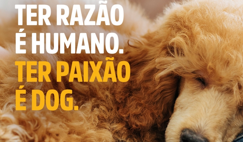 Campanha da Special Dog propõe “Dogalizar” a vida