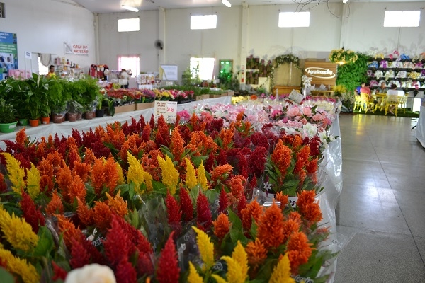 Ecoflores começa no dia 9 de setembro na Praça da Biblia