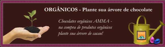 Tenha sua árvore de cacau na ação da Chocolat Des Arts
