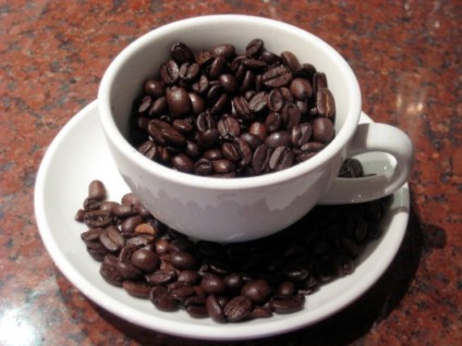 Fispal Café traz novidades e tendências