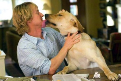 Nestlé Purina e Contigo! incentivam carinho aos cães