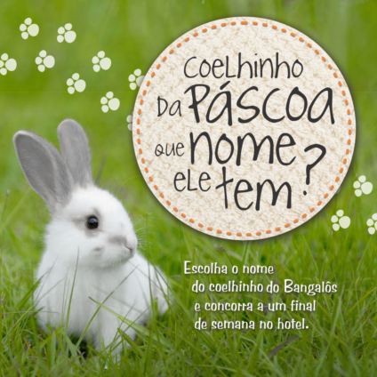 Bangalôs da Serra da nome a coelho em ação promo