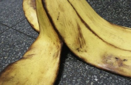 Cascas de banana gigante promovem Rodenstock