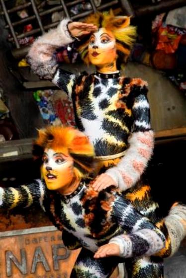 Whiskas e "Cats" celebram o amor aos gatos Whiskas e "Cats" celebram o amor aos gatos