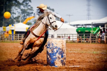 Campo Grande foi palco do Team Penning e Tambor