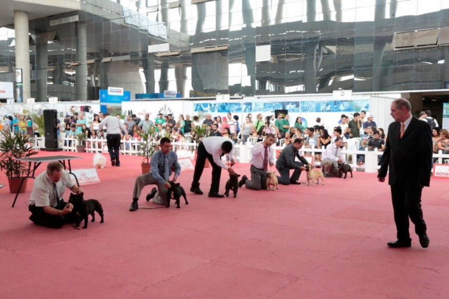 Minas Hall receberá Brasília Dog Weekend