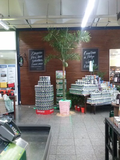 O coqueiro natural faz parte da ação de merchandising da marca (Foto: Divulgação/Sococo).