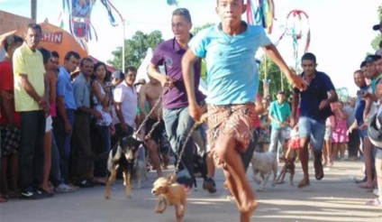 Provas inusitadas marcam a Folia de Reis de Alto Belo
