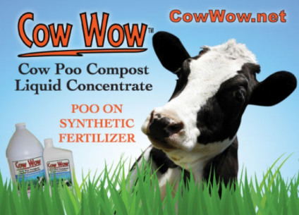 Cow Wow pega carona nas eleições para fazer promo