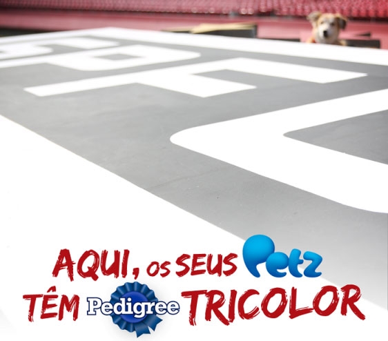 São Paulo entra em campo incentivando adoção de animais São Paulo entra em campo incentivando adoção de animais