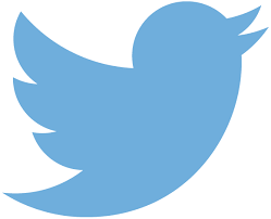 Twitter lança plataforma com Fca, Oi e Budwieser
