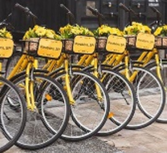 Yellow e Flores Online distribuem flores em São Paulo