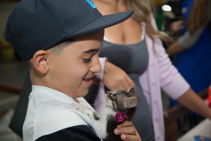 Ponteio Lar Shopping realizou mais uma edição da Feira de Adoção de Cães e Gatos