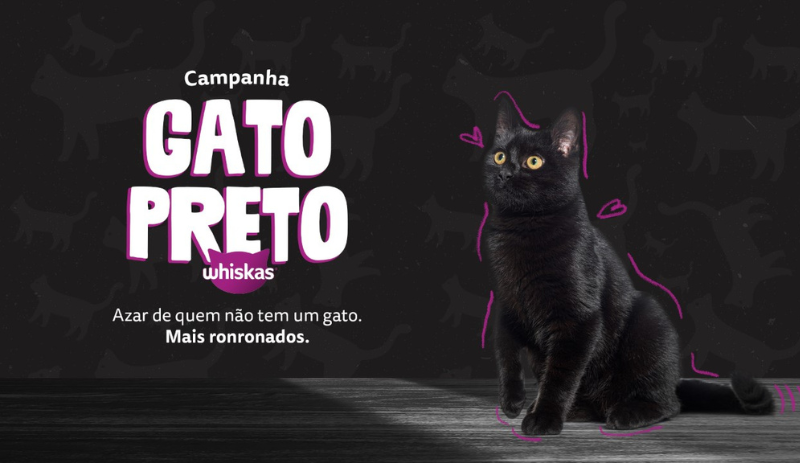 feira