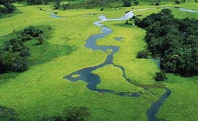 amazônia amsterdã