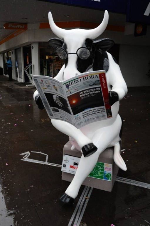 Grupo RBS paga o maior lance por uma vaca