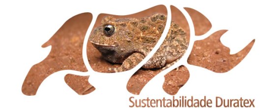Duratex cria hotsite sobre sustentabilidade