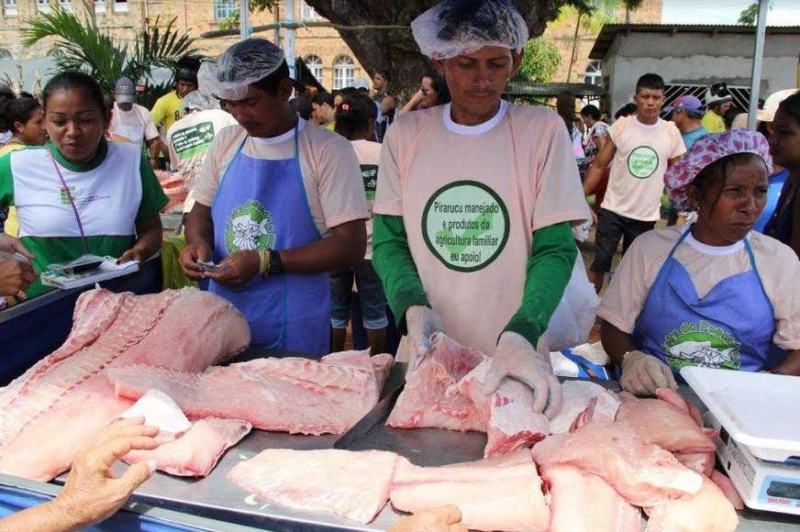 Feira do Pirarucu Manejado chega à 13ª edição