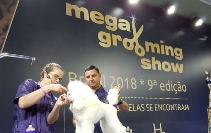 Vem aí a 10ª edição do Mega Grooming Expo