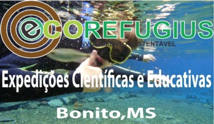 Sustentabilidade e saúde coletiva na Eco Refugius