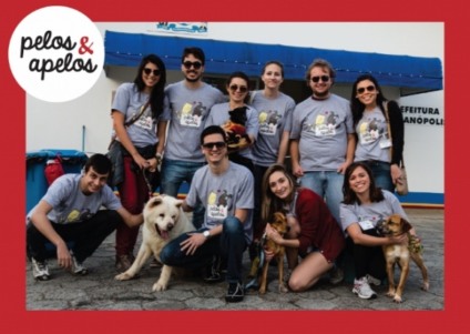 Projeto Social Pelos & Apelos ajuda cães em Florianópolis
