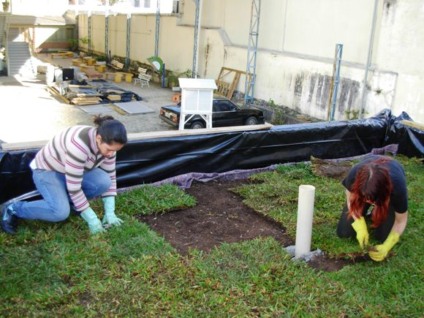 Escritório verde em Curitiba tem Ecotelhado