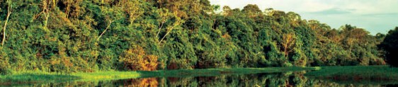Começa hoje em Foz o Fórum Mundial de Meio Ambiente 