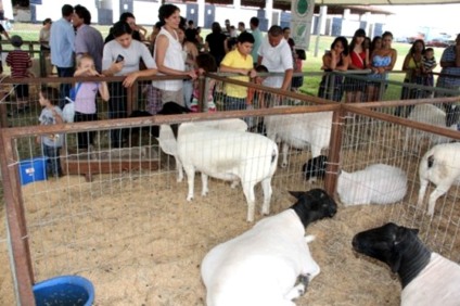 Grand Expo Bauru comemora recorde de público