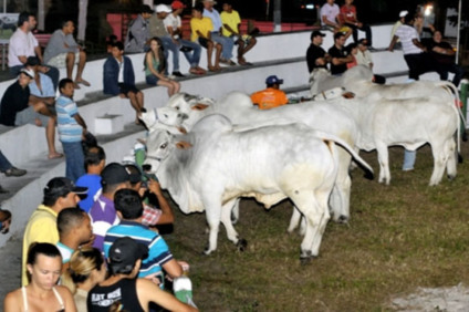 ExpoSergipe começa neste domingo