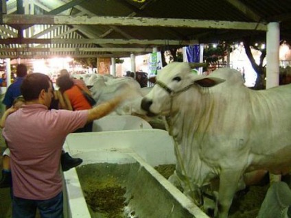 Expoagro divulga programação 