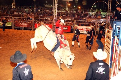 Expo Bahia espera mesmo resultado da última edição