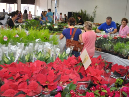 ExpoFlor começa hoje e terá 300 variedades de flores 