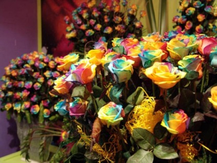 Holambra abre as portas para a Expoflora