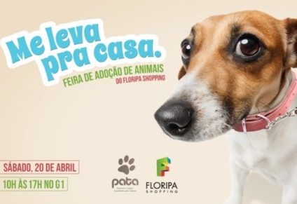 Floripa Shopping terá feira de adoção de animais