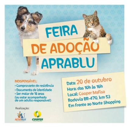 Feira de Adoção de cães e gatos neste sábado na Mafisa